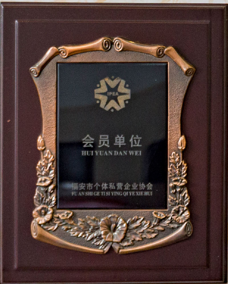 荣誉照片3